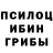 Псилоцибиновые грибы GOLDEN TEACHER Salith
