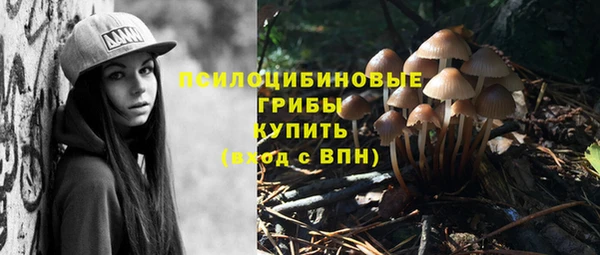 а пвп мука Богданович