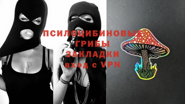 а пвп мука Богданович