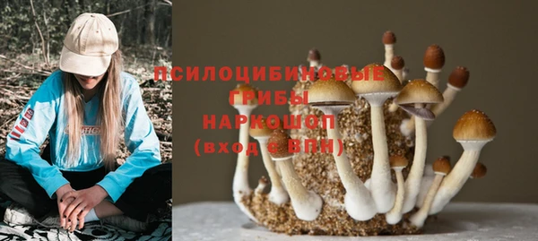jwh Богородицк