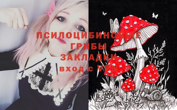 jwh Богородицк