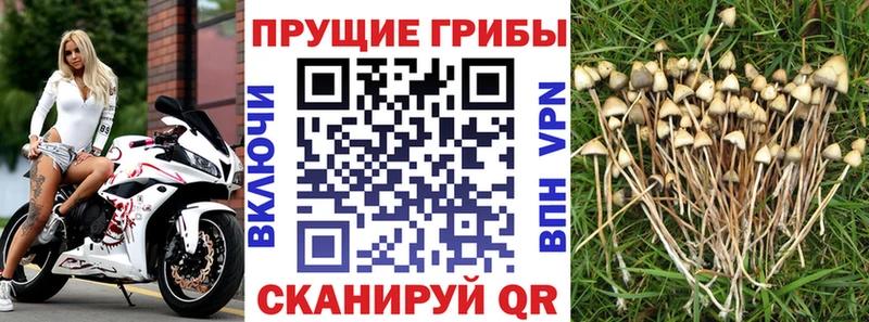 Галлюциногенные грибы мухоморы Салават